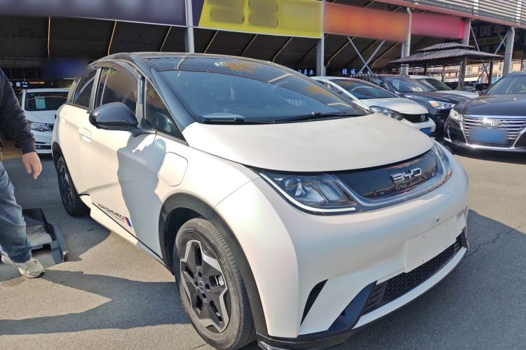 Used BYD Dolphin 2021 405 km Free Version