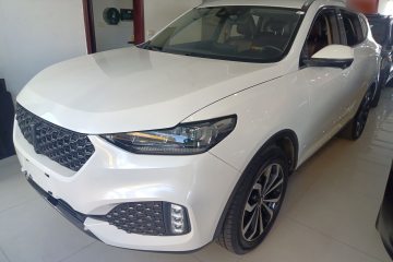 Used Wey VV6 2020 2.0T Four-Wheel Drive Zhiyu+