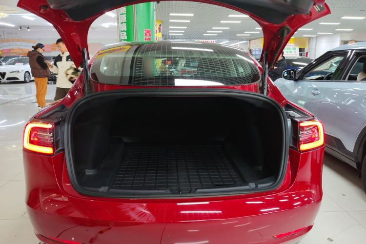 Used Tesla Model 3 2019 Standard Range Rear-Drive Upgraded Version