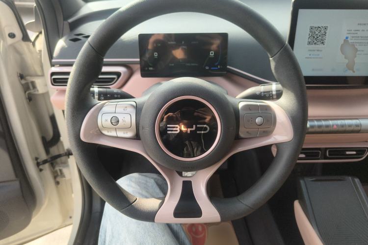 Used BYD Seagull 2024 Honor Edition 305km Dynamic Version
