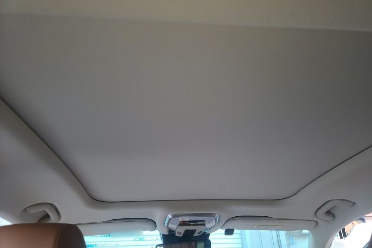 Used Hongqi H9 2024 2.0T Qixiang Private Style Edition