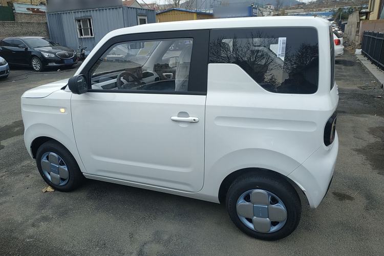 Used  Panda 2024 Panda Mini 200km Endurance Bear
