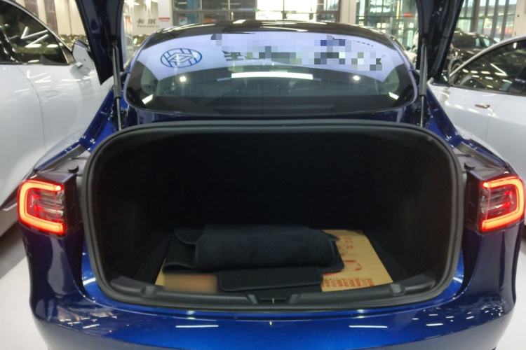 Used Tesla Model 3 2019 Long-Range Rear-Wheel-Drive Version
