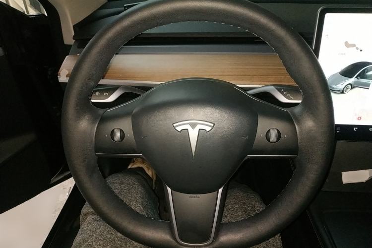 Used Tesla Model 3 2022 Rear-Wheel-Drive Version