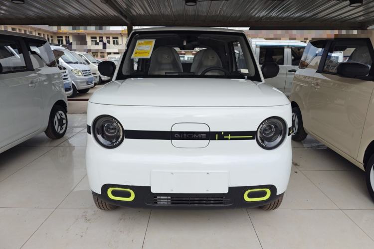 Used  Panda 2025 210 km – Yuanqi Bear