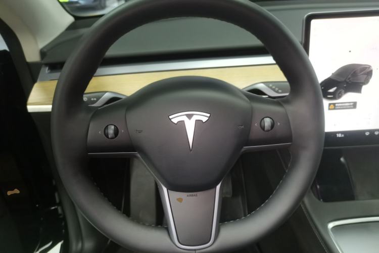 Used Tesla Model Y 2021 Standard Range Rear-Wheel Drive Version
