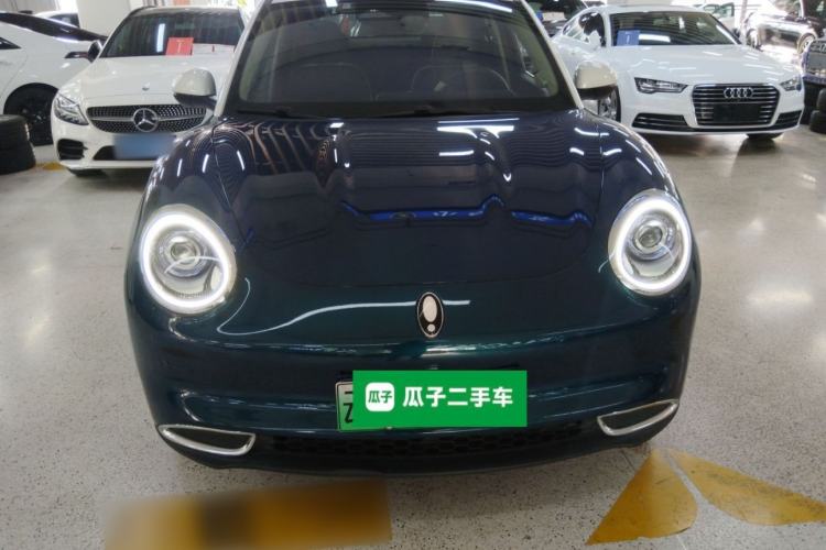 Used ORA Good Cat 2021 500km Long-Range Poseidon Edition Lithium-Ion Battery
