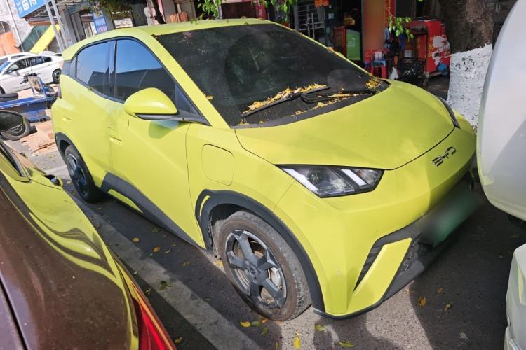 Used BYD Seagull 2023 Flying Edition
