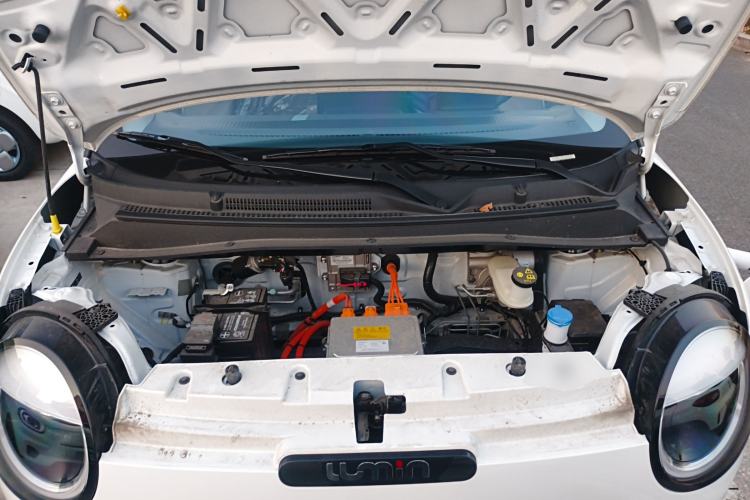 Used  Lumin 2025 205 km Xiangqin Version