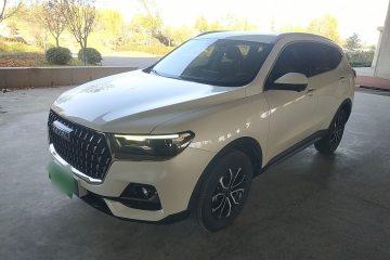 Used Haval H6 2023 National Trend Edition 1.5T Automatic Urban Version