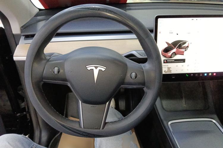 Used Tesla Model Y 2021 Standard Range Rear-Wheel Drive Version