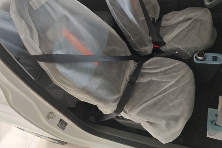 Used  Panda 2024 Panda Mini 200km Endurance Bear
