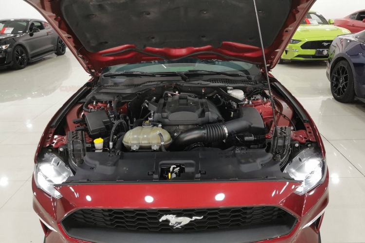 Used Ford Mustang 2019 2.3L EcoBoost
