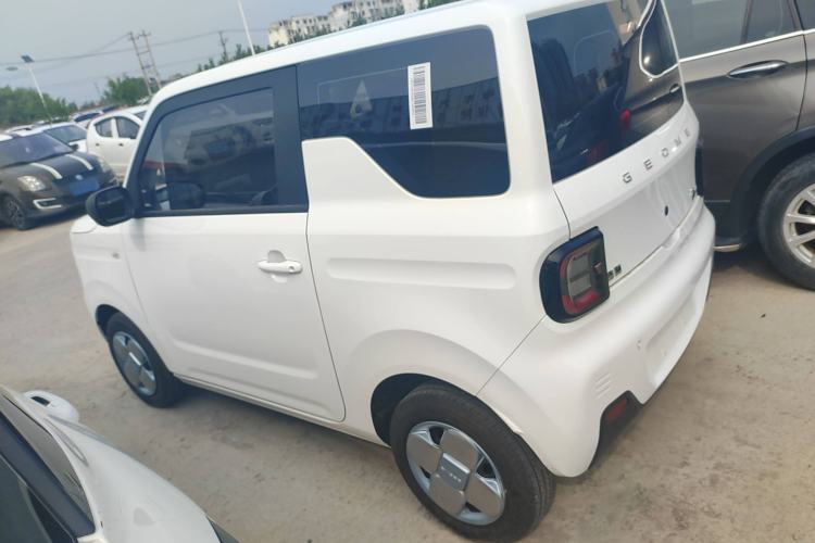 Used  Panda 2024 Panda Mini 200km Endurance Bear
