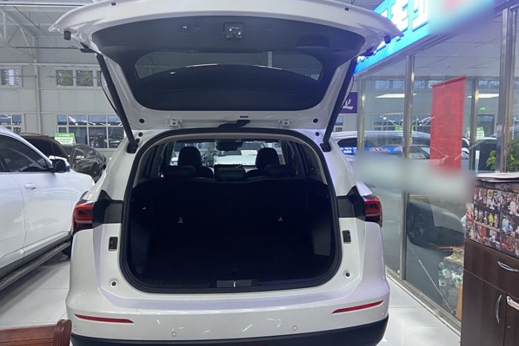 Used Haval H6 2024 1.5T Two-Wheel Drive Max
