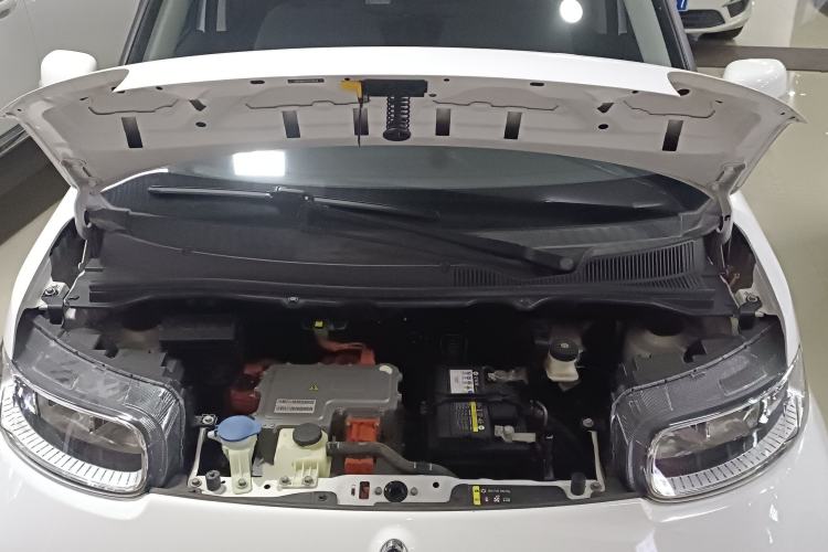 Used ORA White Cat 2020 360 km Luxury Version
