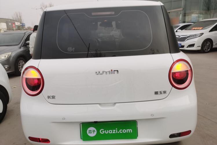 Used  Lumin 2025 205 km Xiangqin Version

