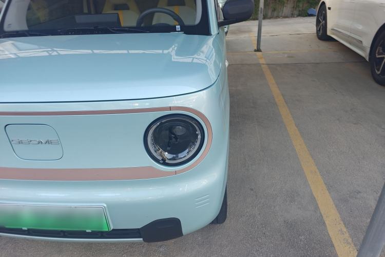 Used  Panda 2024 Panda Mini 200km Endurance Bear
