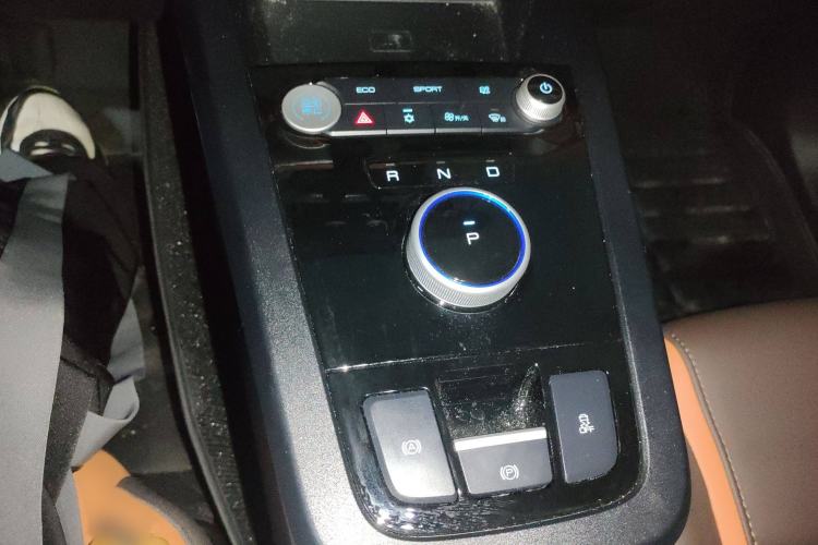 Used BYD e2 2021 Luxury Model
