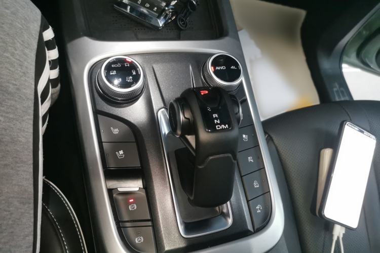 Used Tank 300 2024 2.0T Crosser
