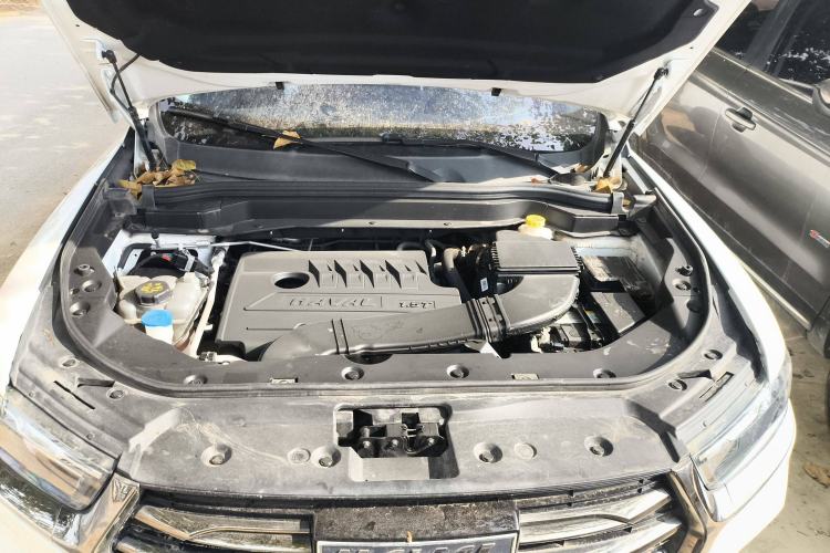 Used Haval H6 2021 National Trend Edition 1.5T Automatic Urban Version
