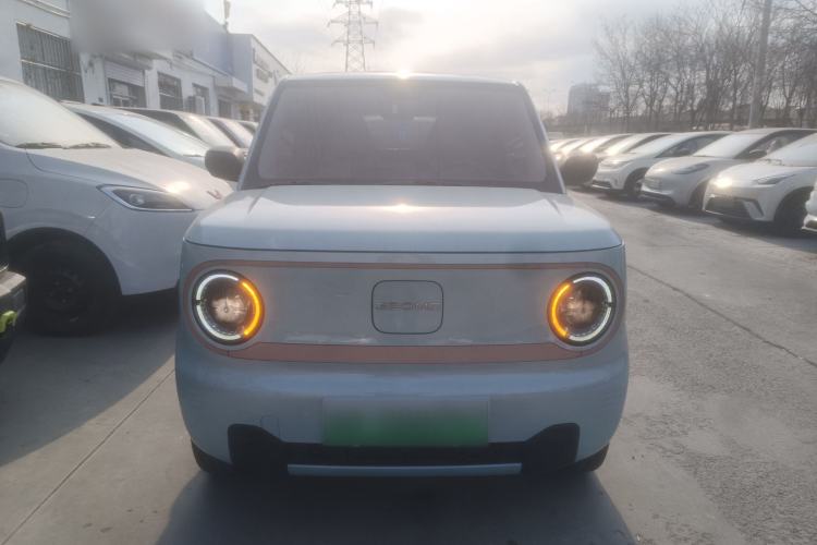 Used  Panda 2024 Panda Mini 200km Endurance Bear
