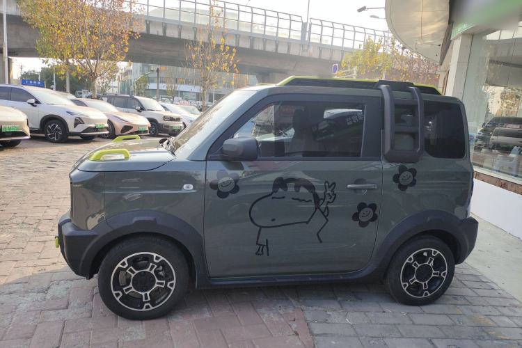 Used  Panda 2024 200km Panda Rider