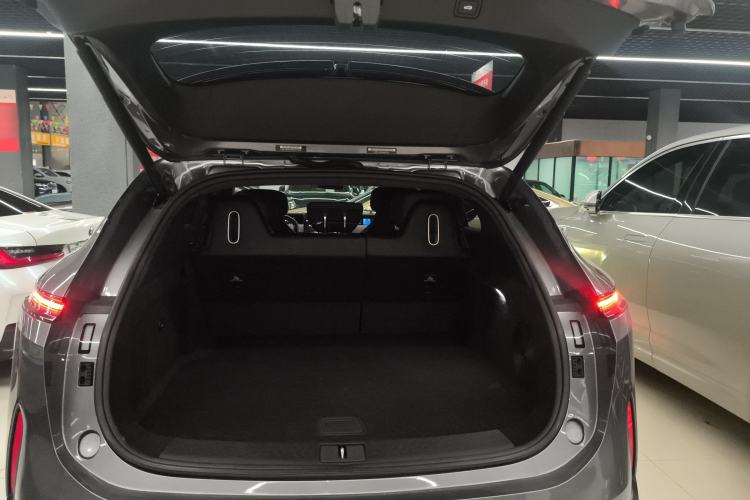 Used  07 2024 Max Extended-Range Edition