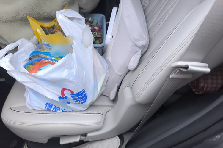 Used GAC Trumpchi GS8 2022 Dual-Engine Series 2.0TM Two-Wheel Drive Prestige Edition (7 Seats)
