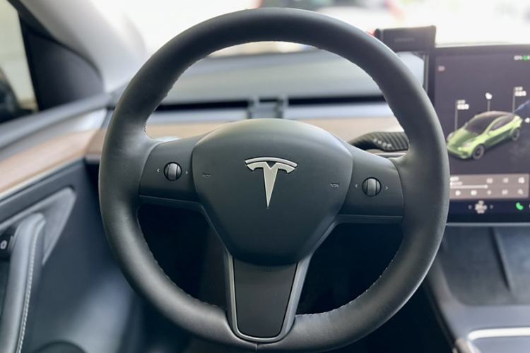 Used Tesla Model Y 2021 Standard Range Rear-Wheel Drive Version
