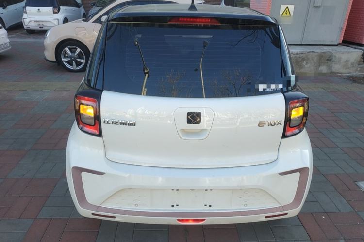 Used SOL E10X 2022 Flower Fairy Design Four-Leaf Clover