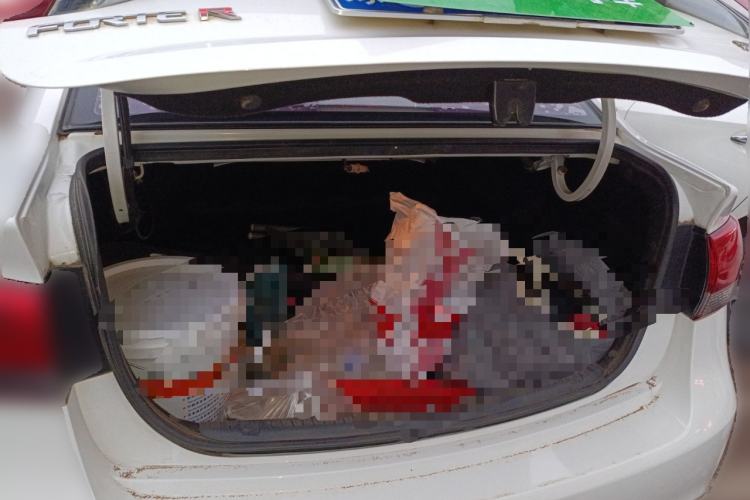 Used Kia Forte 2014 1.6L MT GL