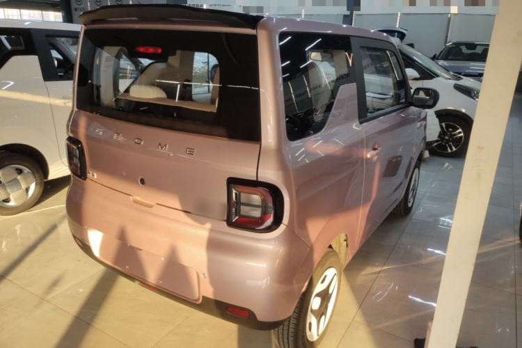 Used  Panda 2025 210 km – Yuanqi Bear
