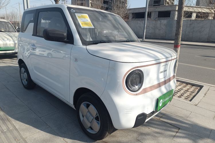 Used  Panda 2024 Panda Mini 200km Endurance Bear