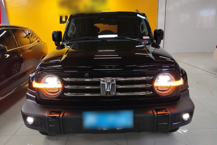 Used Tank 300 2024 2.0T Crosser
