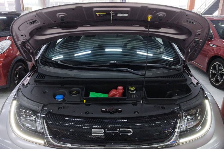 Used BYD Dolphin 2021 405 km Free Version
