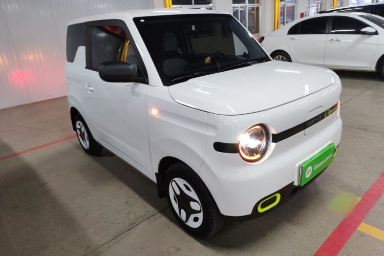 Used  Panda 2025 210 km – Yuanqi Bear