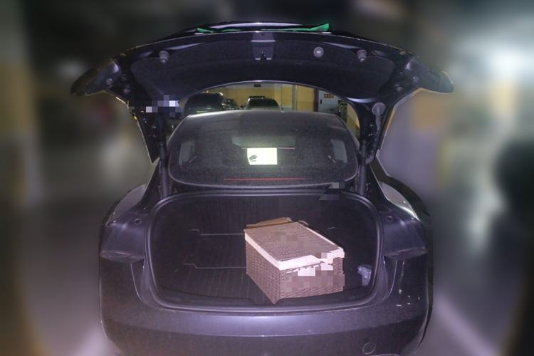 Used Tesla Model 3 2023 Rear-Wheel-Drive Version
