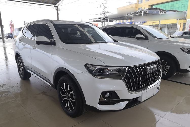 Used Haval H6 2023 National Trend Edition 1.5T Automatic Urban Version
