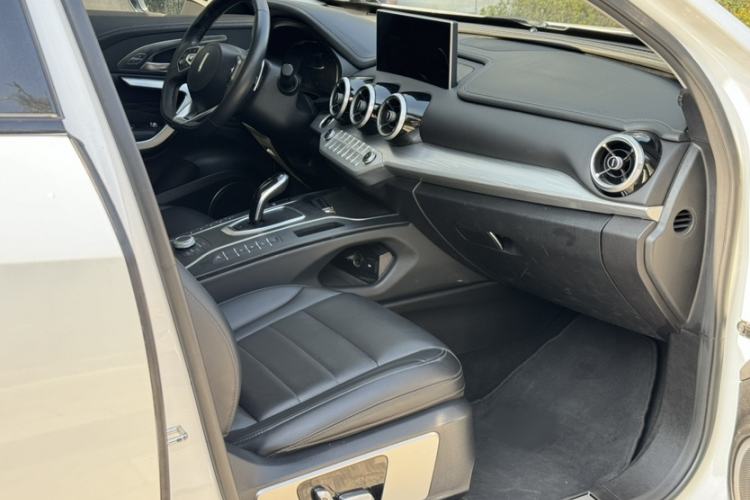 Used Wey VV7 2020 2.0T Ultra-Luxury Version
