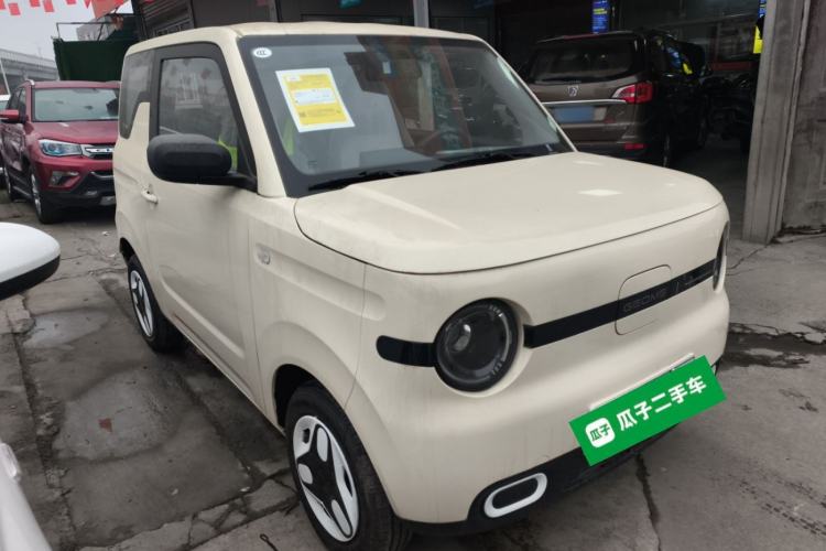 Used  Panda 2025 210 km – Yuanqi Bear