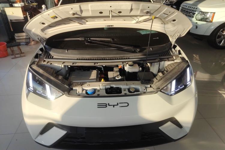 Used BYD Seagull 2023 Free Edition
