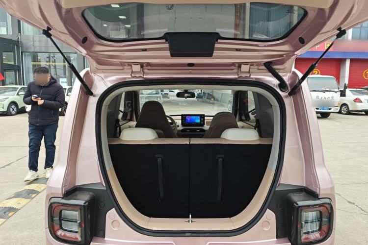 Used  Panda 2024 Panda Mini 200km Endurance Bear