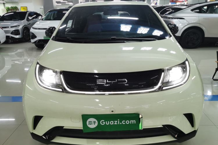 Used BYD Dolphin 2021 405 km Free Version
