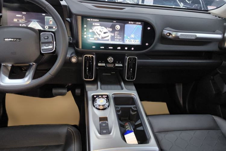 Used Haval DARGO 2024 2.0T DCT Chinese Rural Dog Edition
