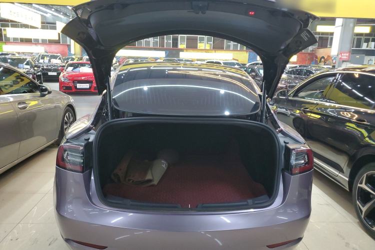 Used Tesla Model 3 2020 Revised Version Standard Range Rear-Wheel Drive – Upgraded Edition
