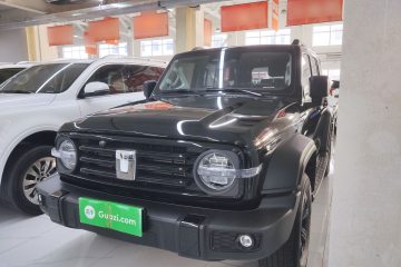 Used Tank 300 2024 2.0T Conqueror