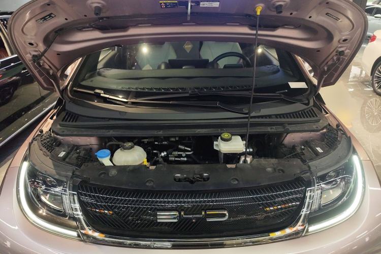 Used BYD Dolphin 2021 405 km Fashion Edition
