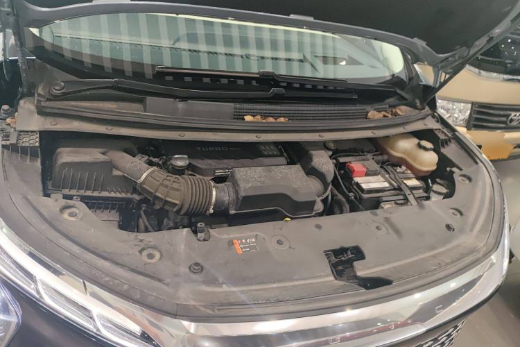 Used Buick Century 2023 2.0T Four-Seat Private Edition
