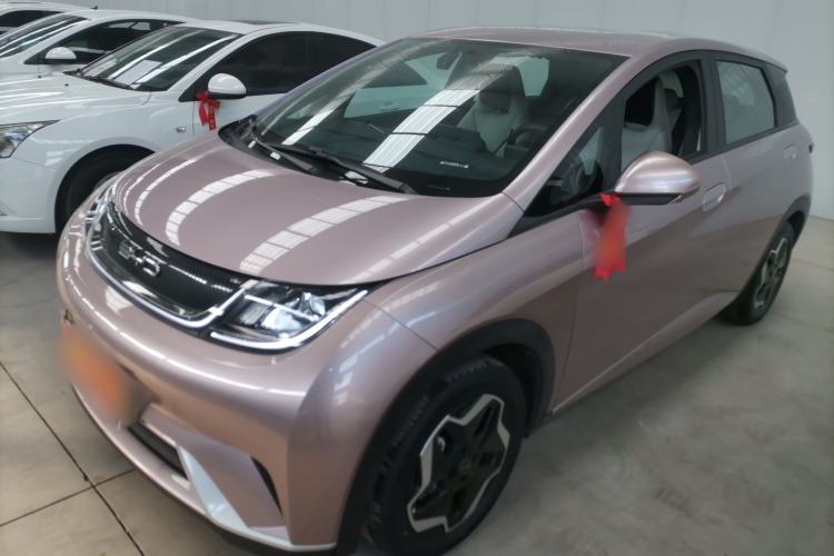 Used BYD Dolphin 2021 405 km Free Version